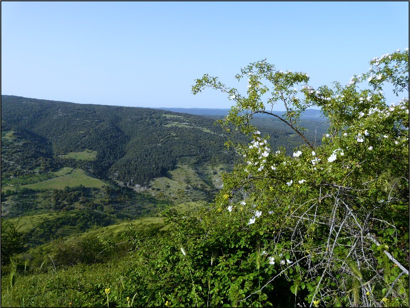 Il Gargano